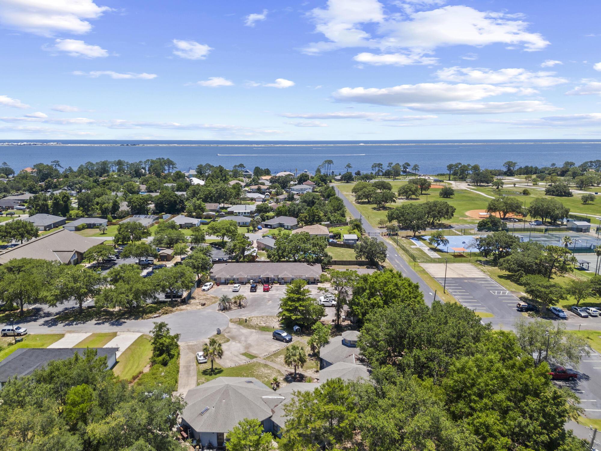Image 3: 6904 sea turtle cir drone-003
