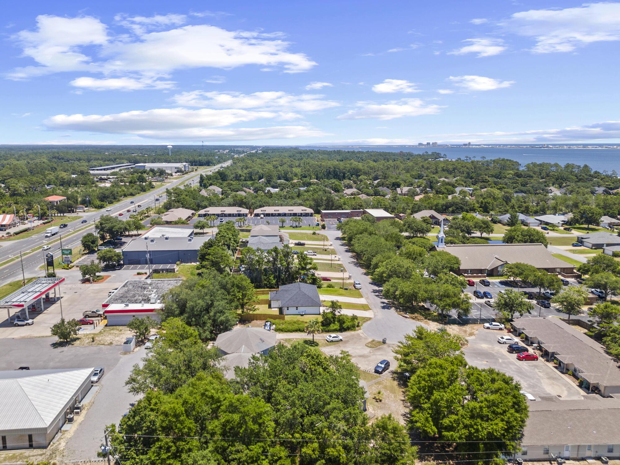 Image 4: 6904 sea turtle cir drone-004