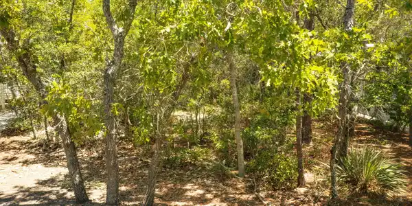 Image 4: 32-web-or-mls-DJI_20260811125628_0589_D