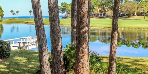 176 Cove Drive