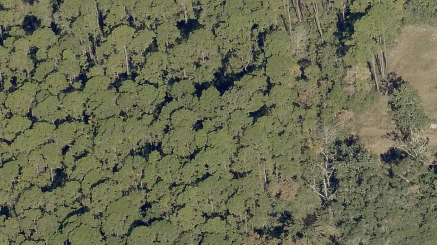 Image 2: wooded