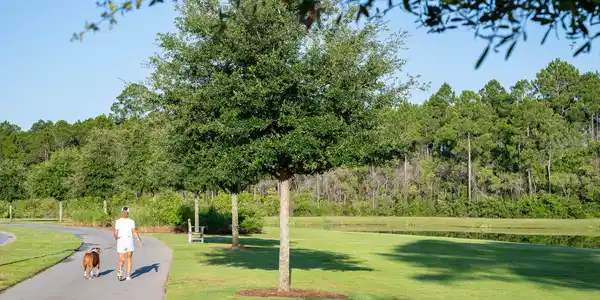 Image 4: WSO- Walking Trail