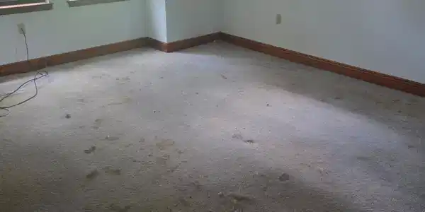 Image 3: Front Bedroom