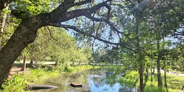 1514 Sweetbay Trail