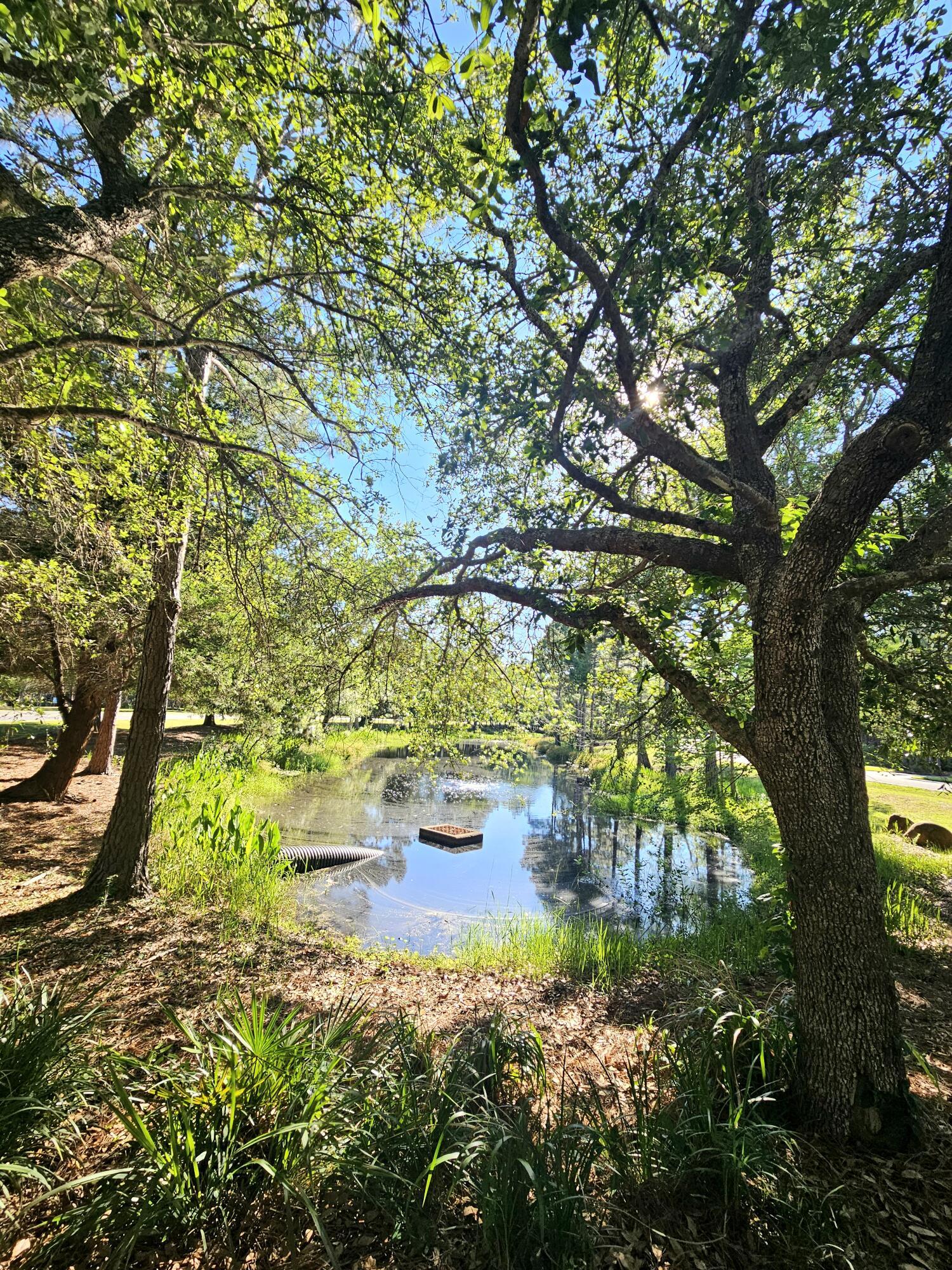 Image 4: 20260515_164800