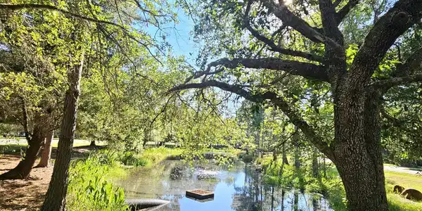 Image 4: 20260515_164800