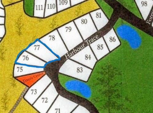 Image 4: Bay Harbour Map Crop