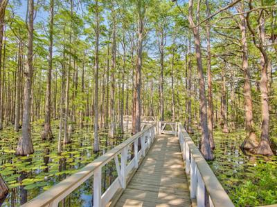 Lot 6 Cypress Drive