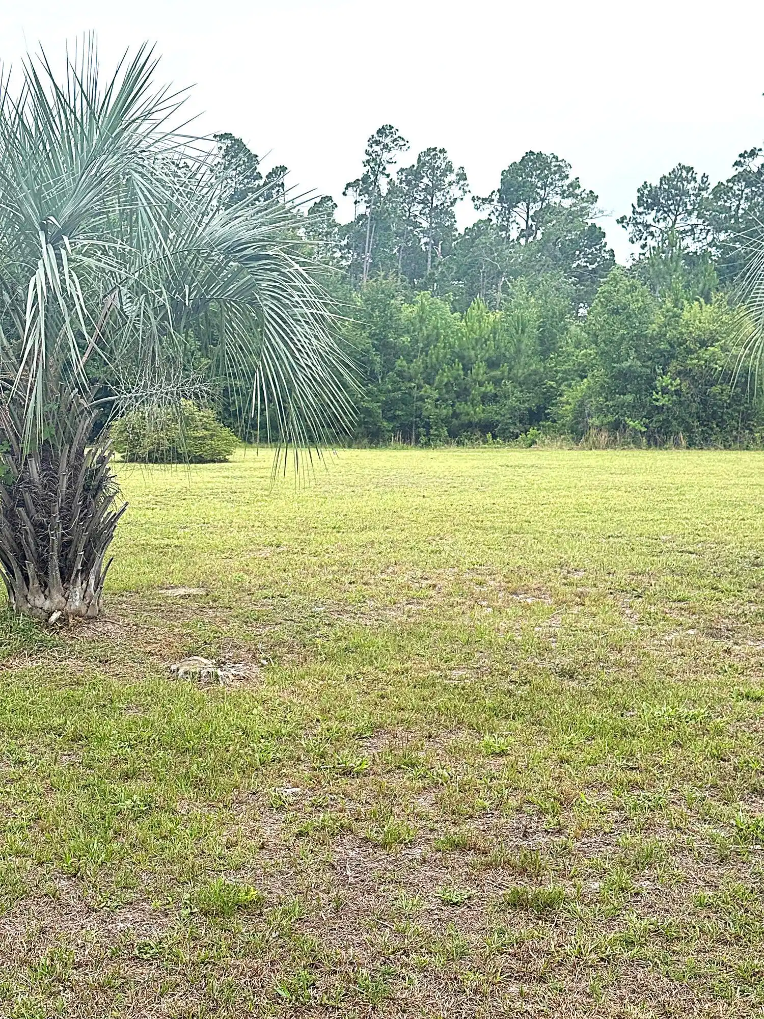 Image 1: Lot 3 Edited