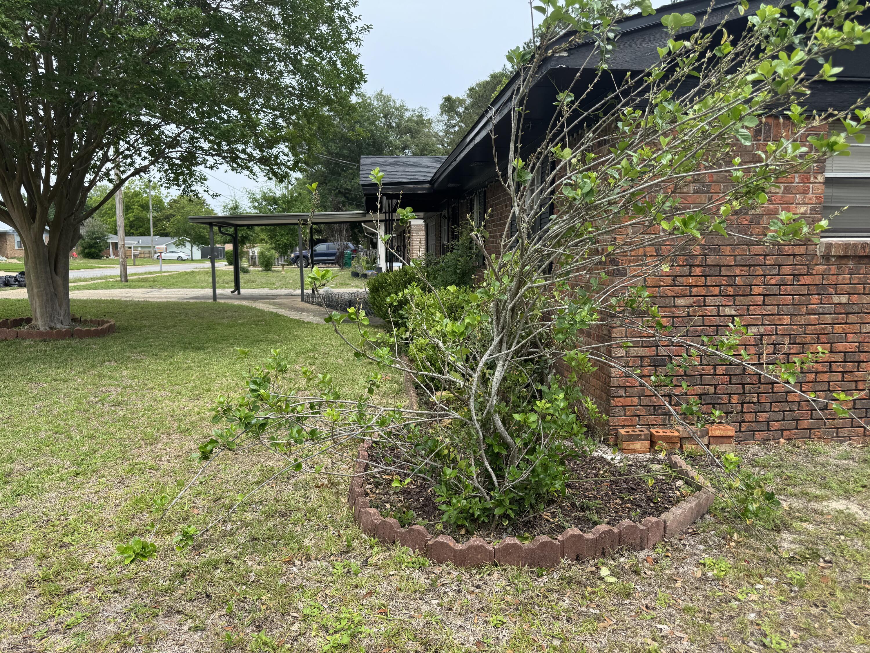 Image 3: IMG_8940