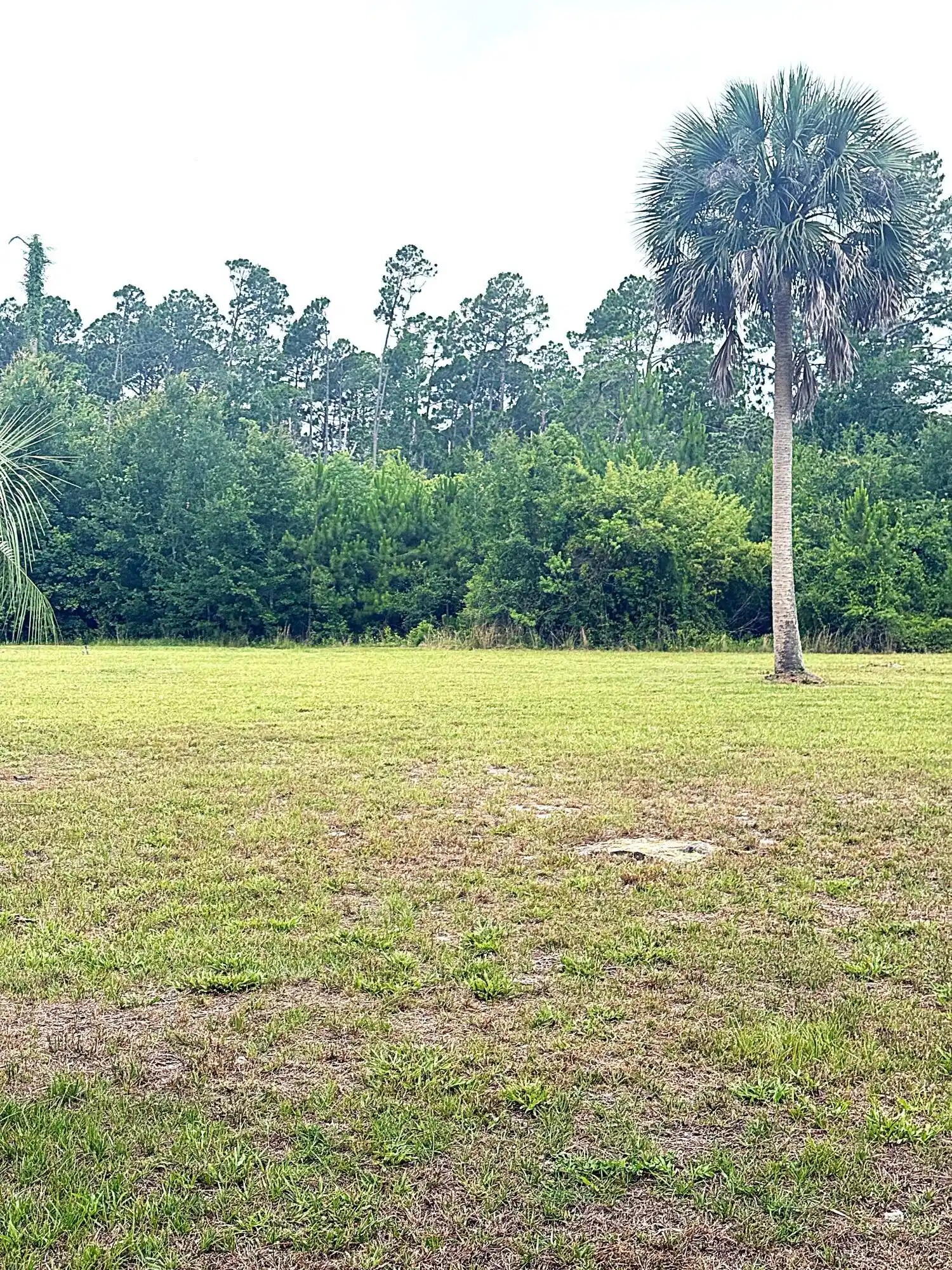 Image 1: Lot 4 - Edited