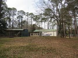 82 Palmetto Street