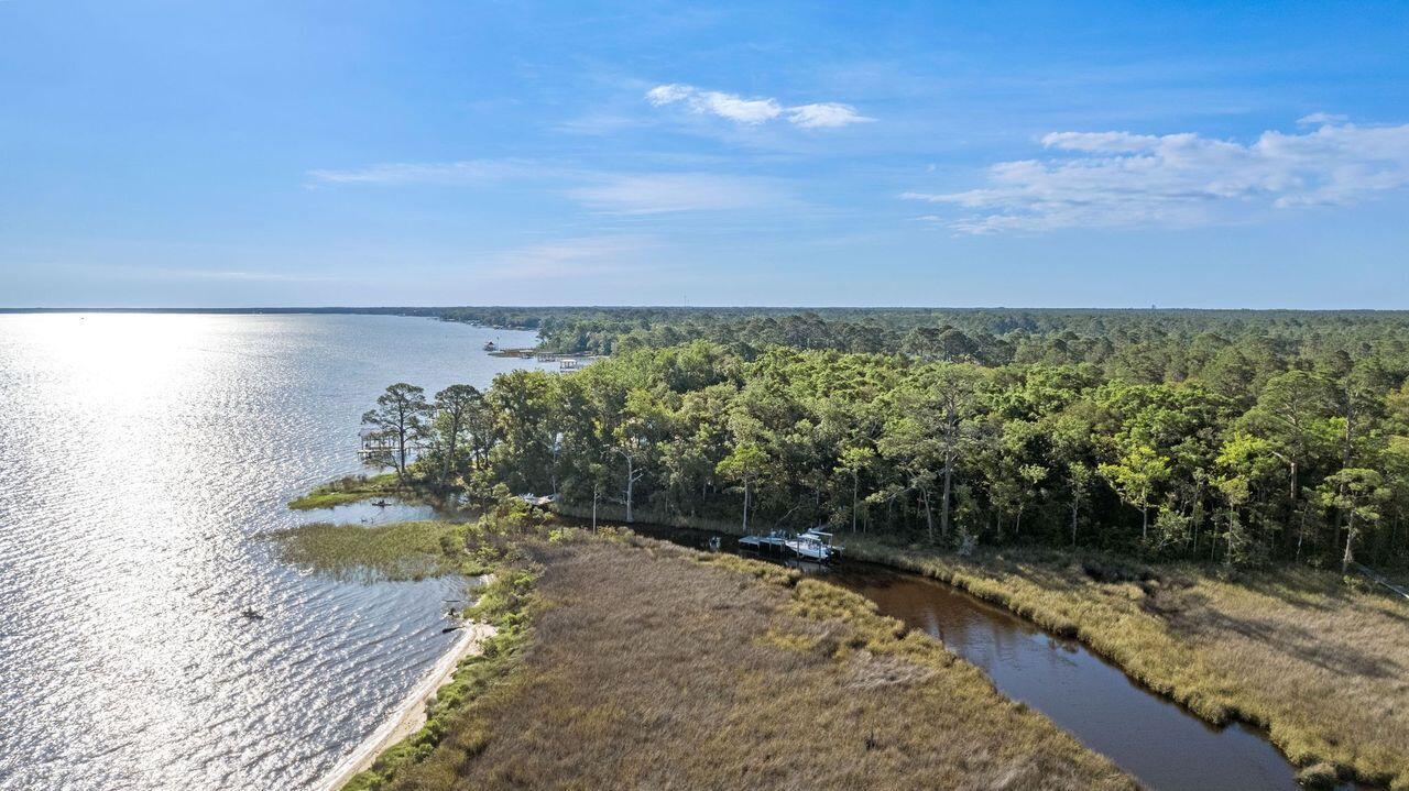 Image 2: Estuary