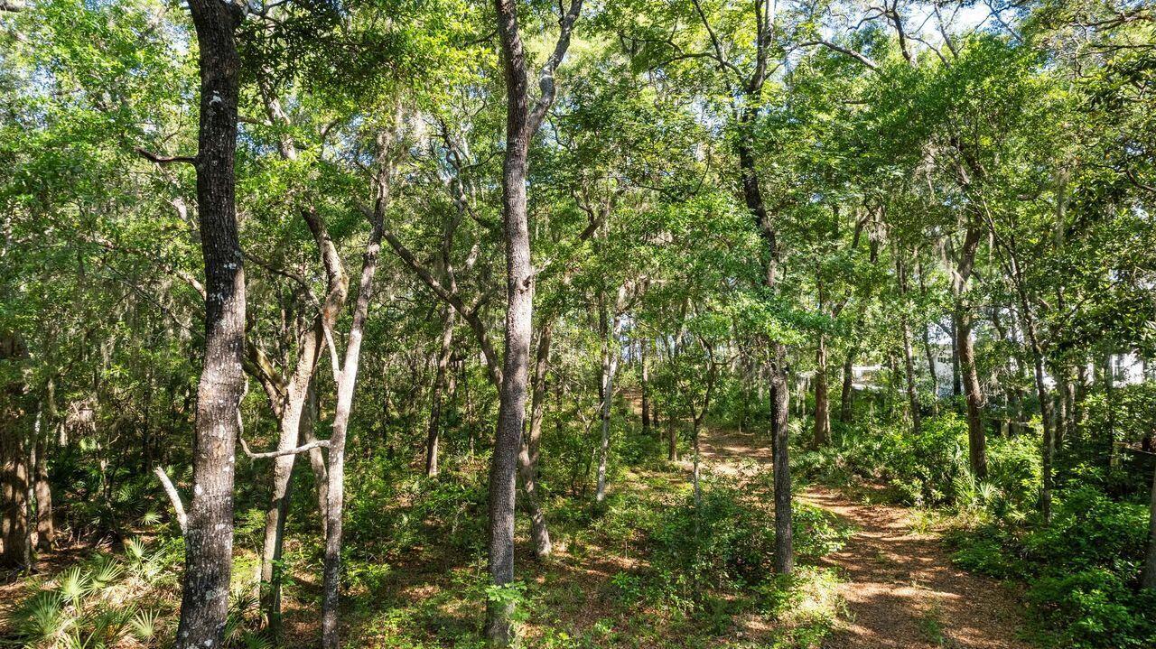 Image 4: Large Wooded Lot
