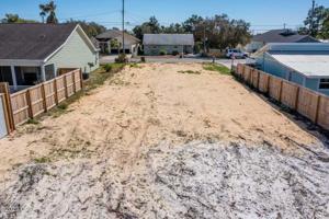 21414 Dolphin