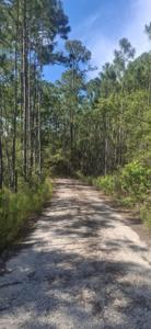 lot 12 W Nursery Road