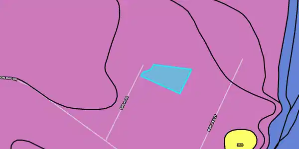 Image 4: simla lot 20