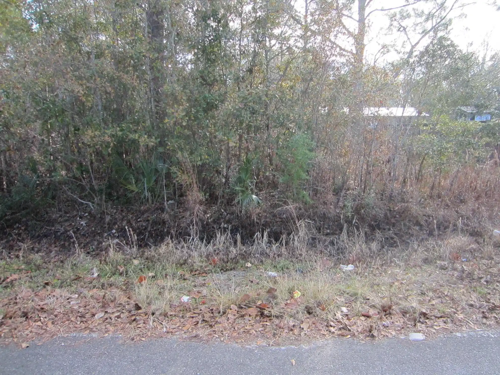 Image 1: Lot 4 Front