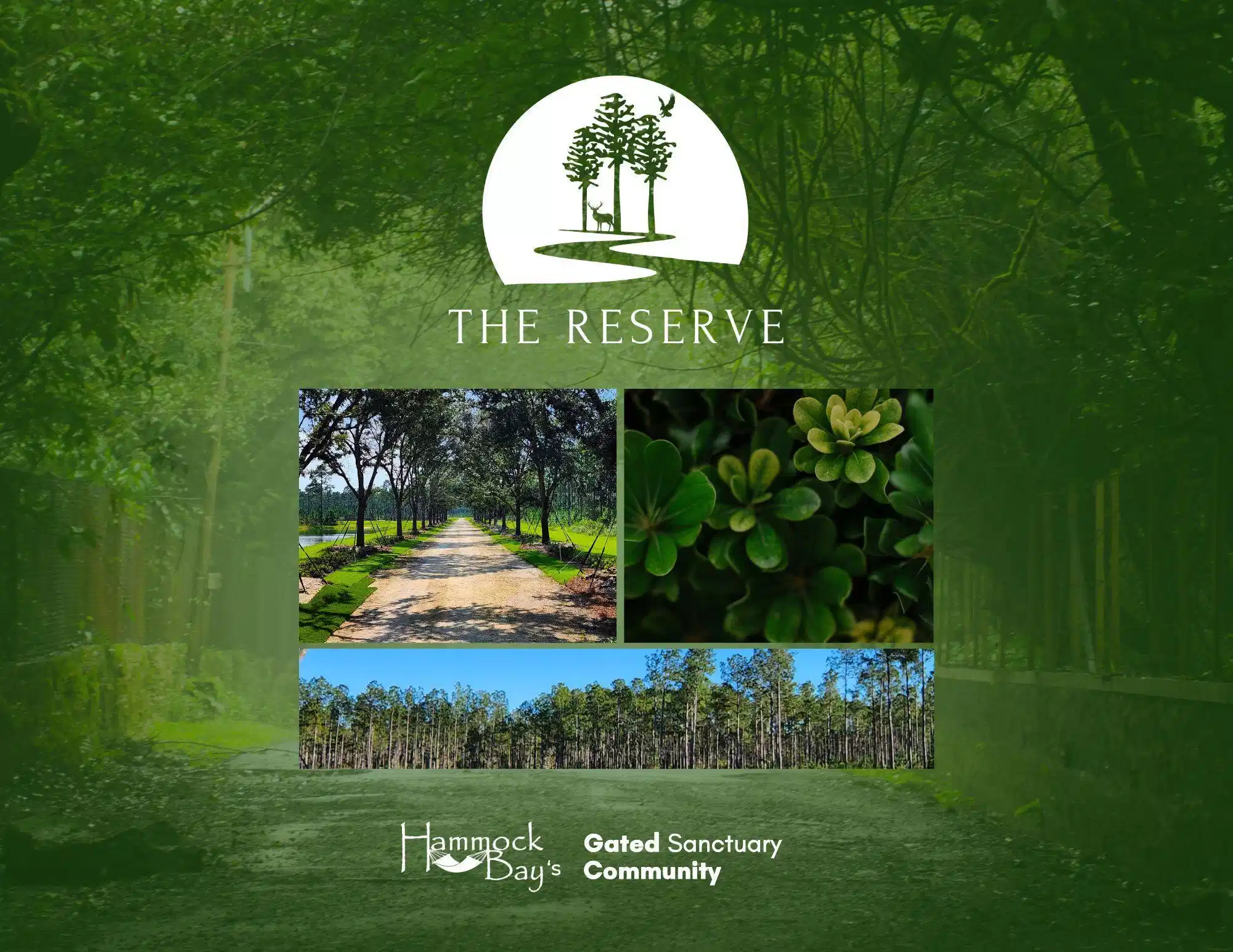 Image 1: The Reserve