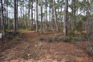 Lot 32C Dover Lane