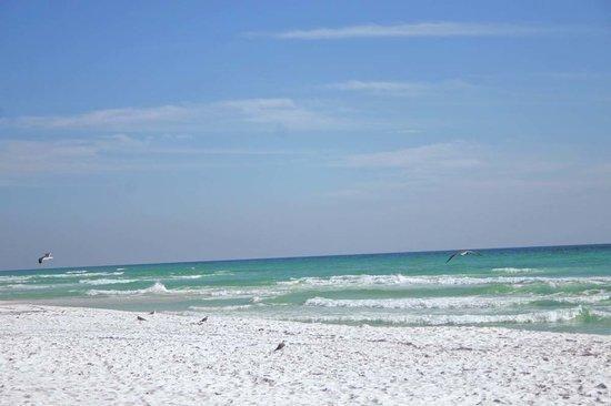 Image 3: beach