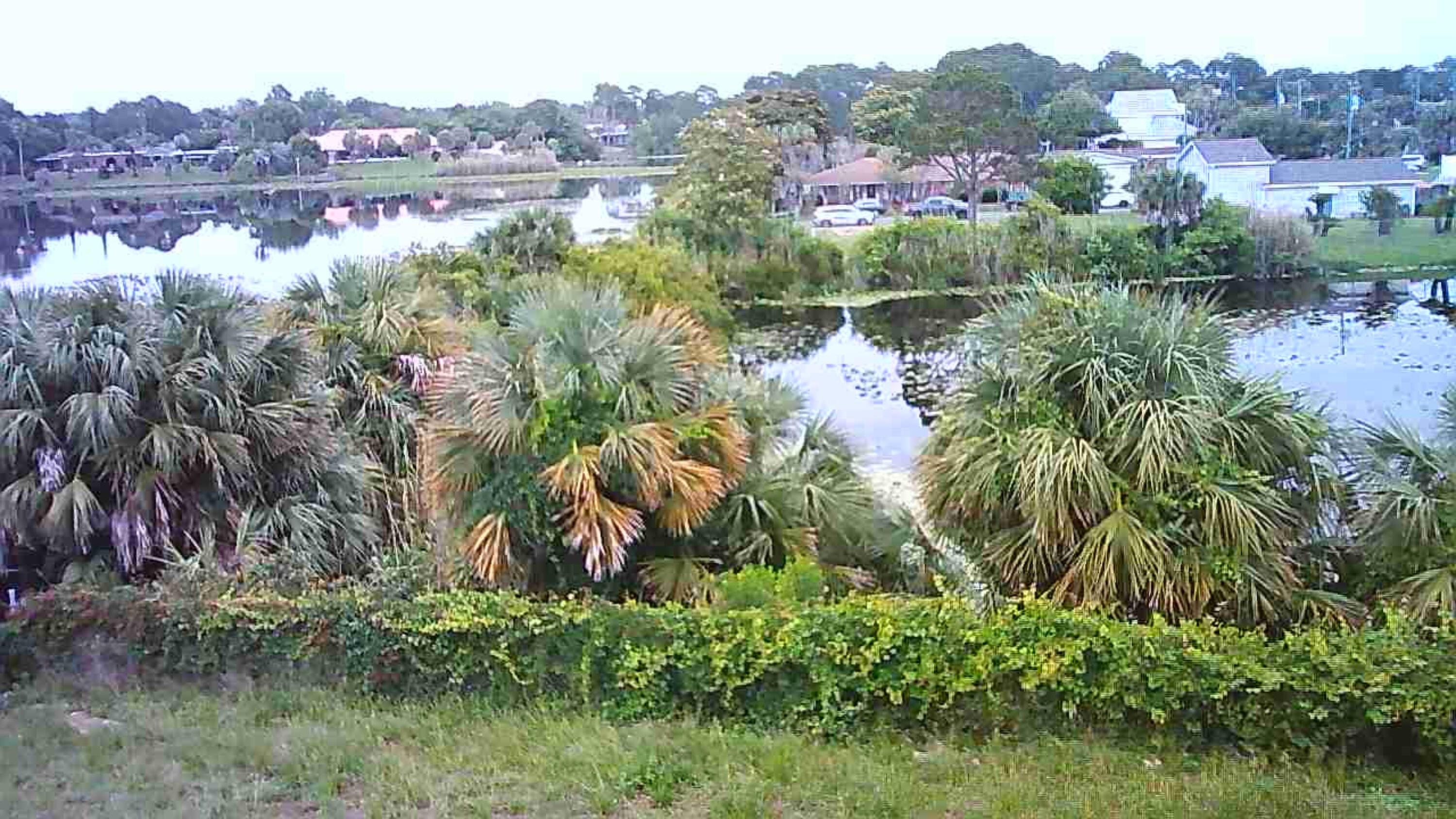 Image 3: 20260529053311A