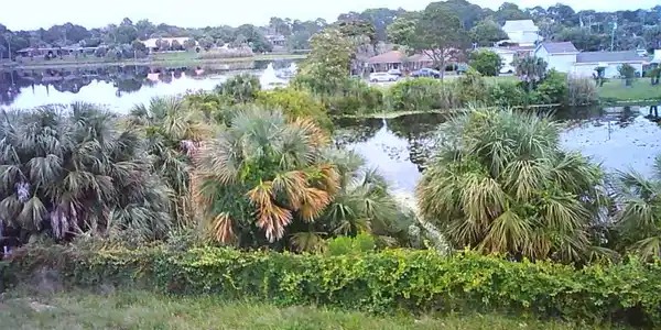 Image 3: 20260529053311A