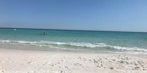 Image 4: beach