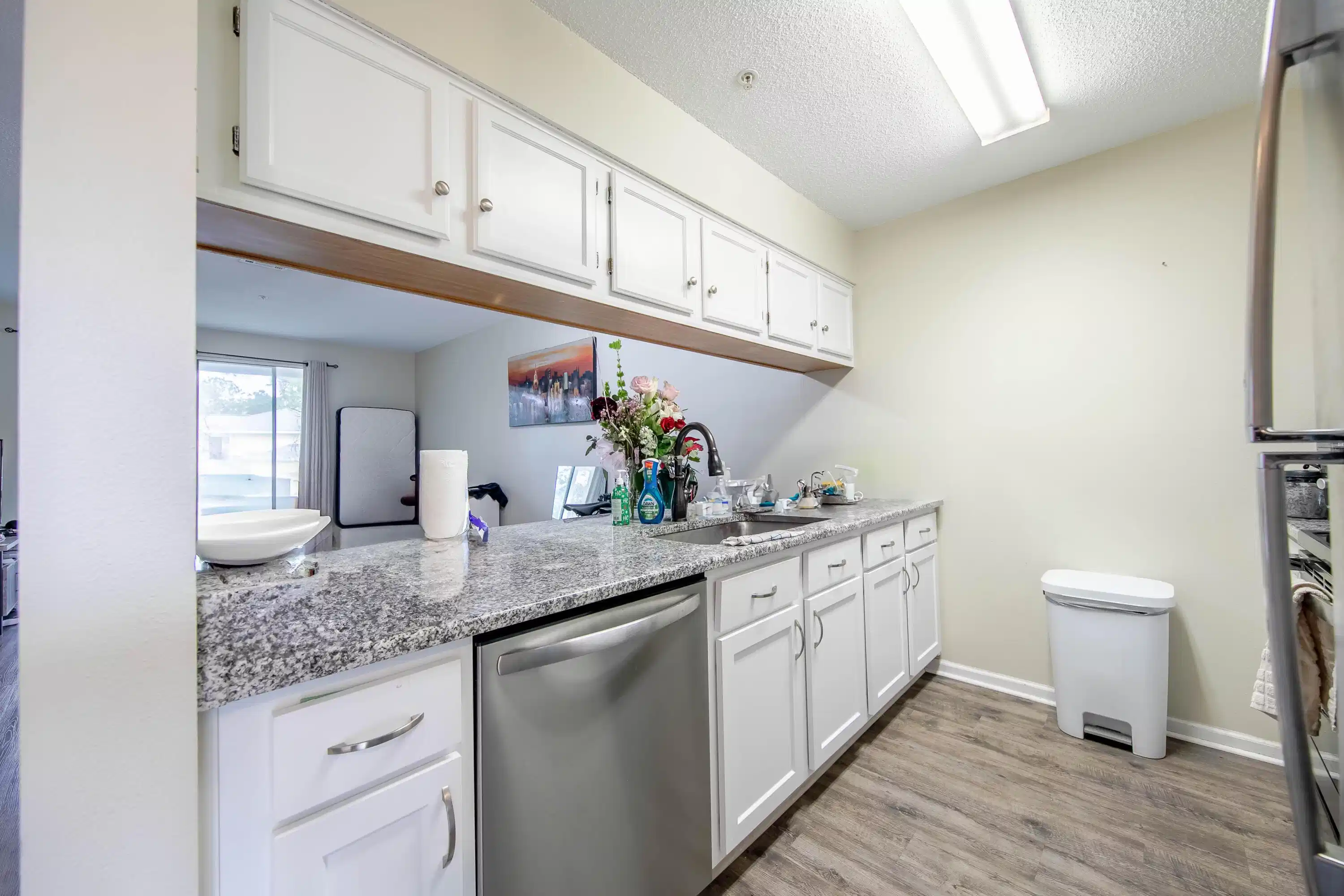 Image 1: LVH_2025-15-HDR