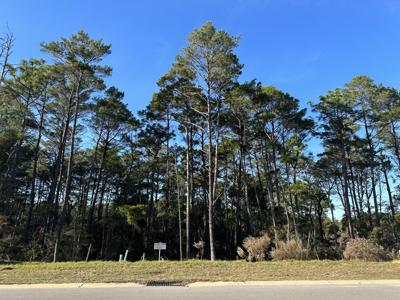 189 Caraway Drive