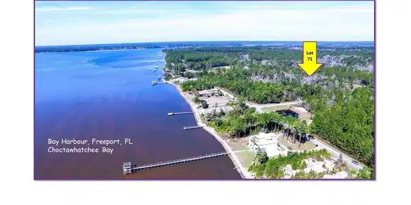 Image 3: Lot 71 Aerial