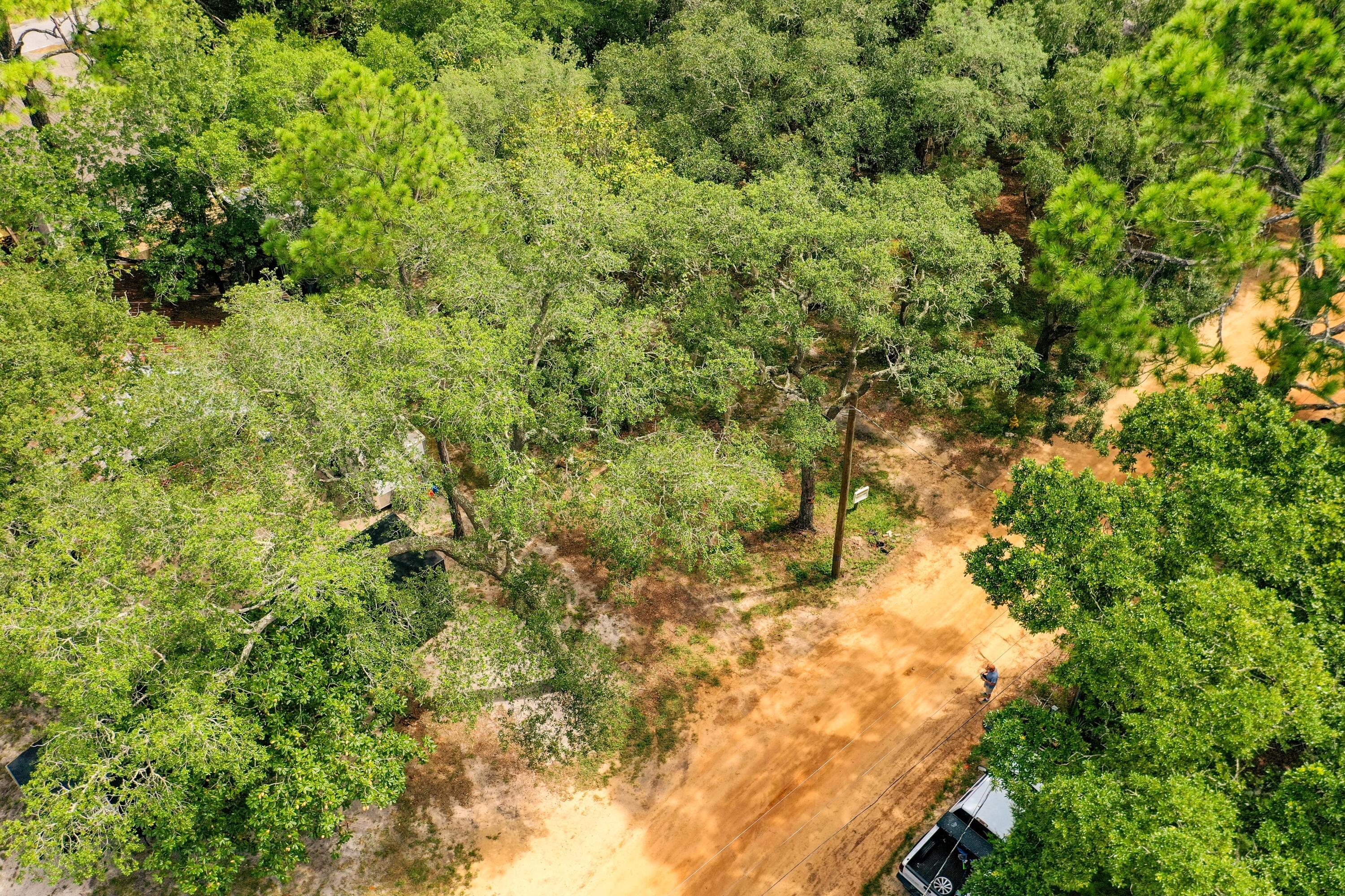 Image 4: DJI_0533