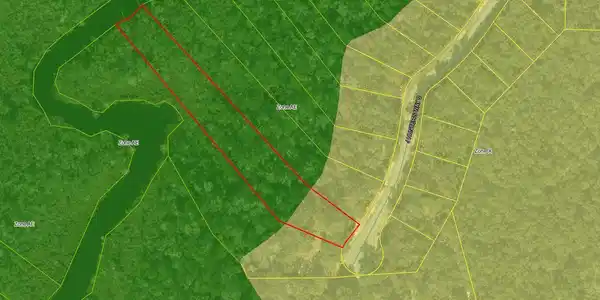 Image 2: Aerial with Flood Zones