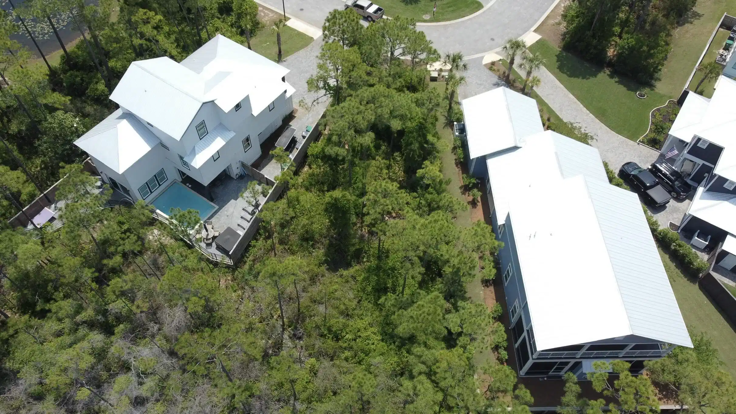 Image 1: image 1