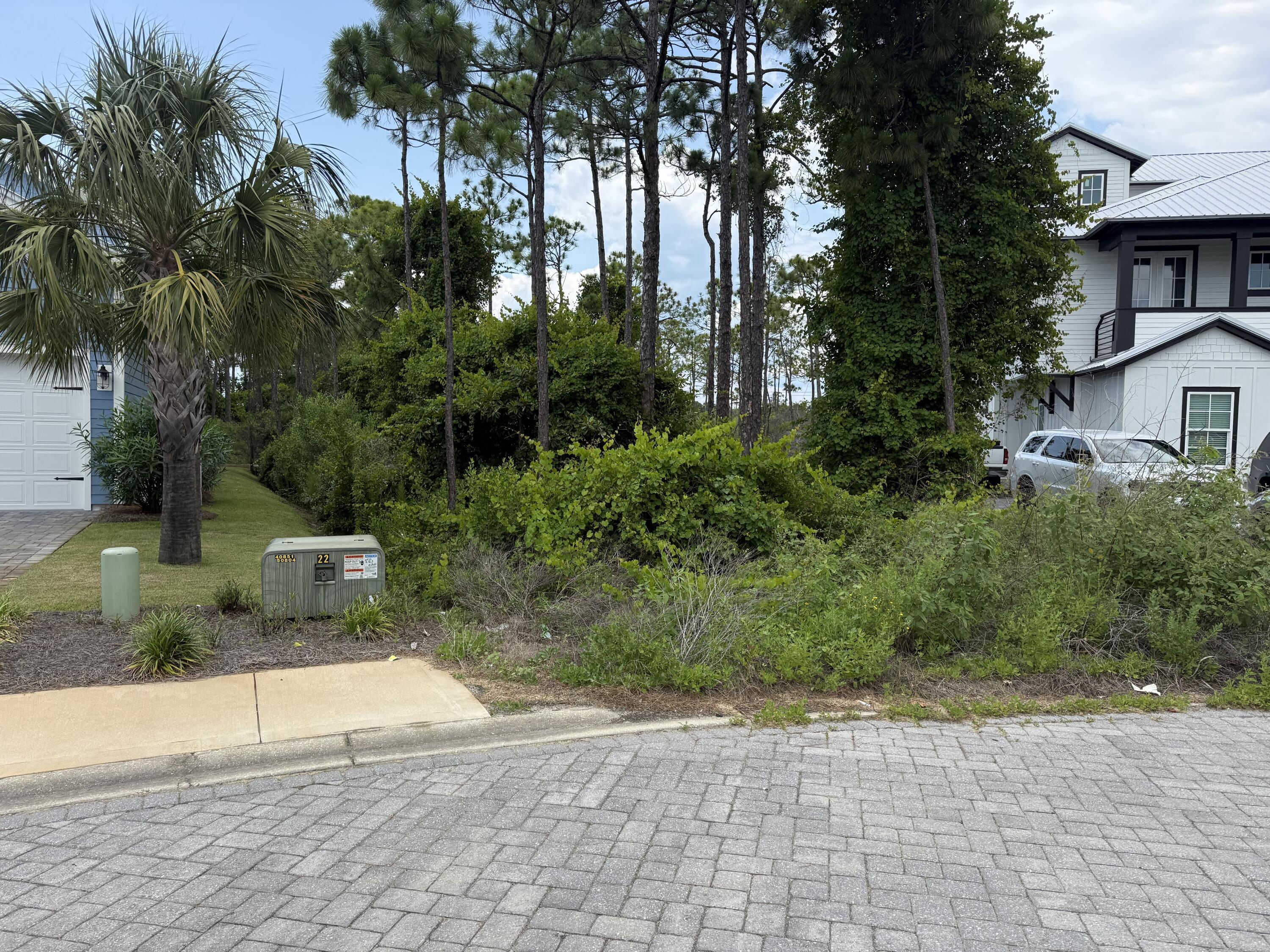 Image 2: image5