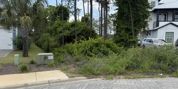 Image 2: image5