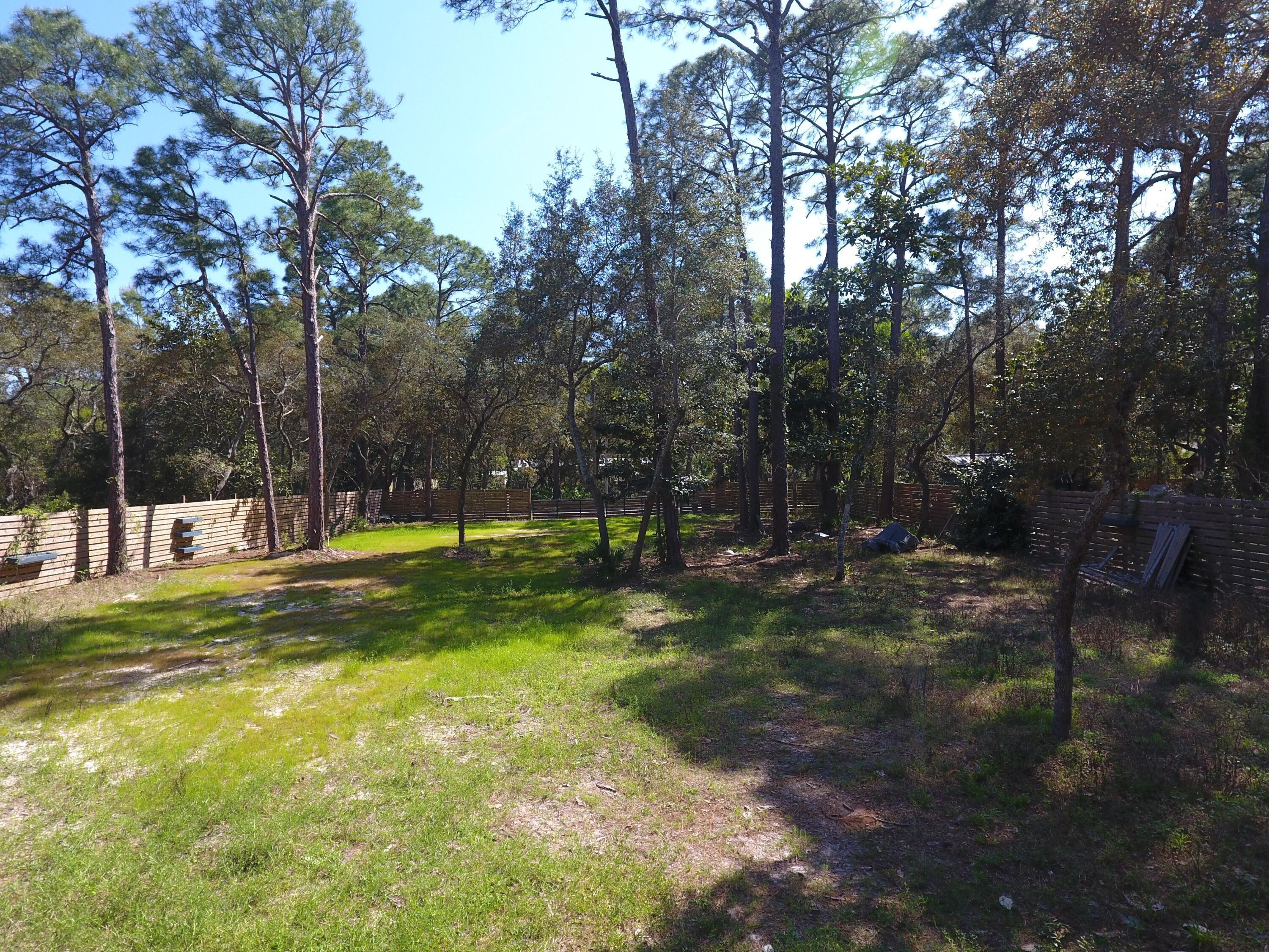 Image 3: DJI_0016
