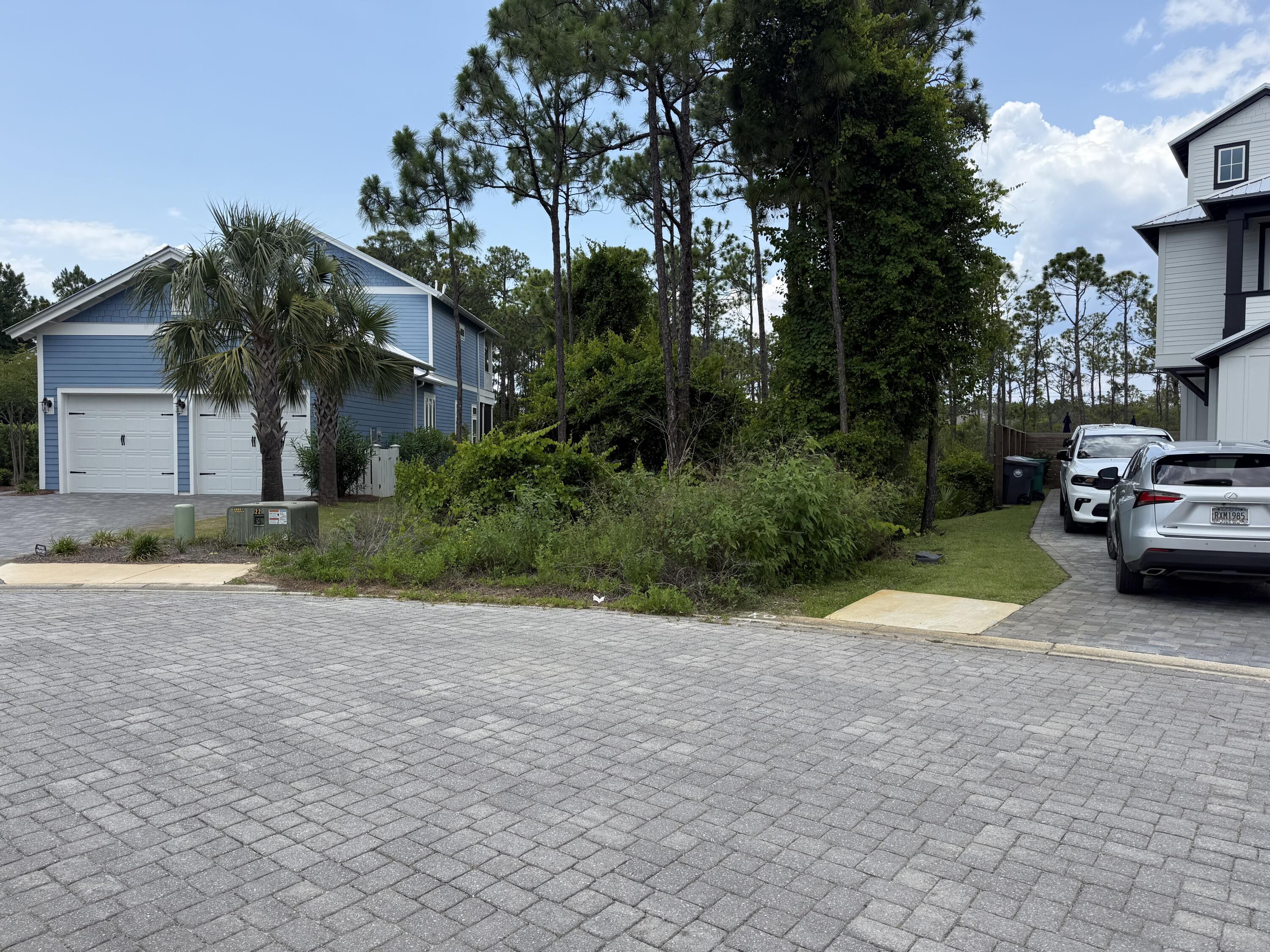 Image 3: image6