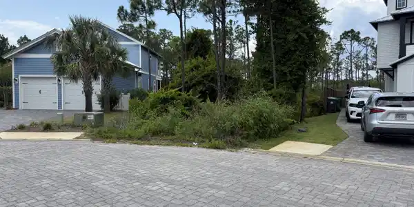 Image 3: image6