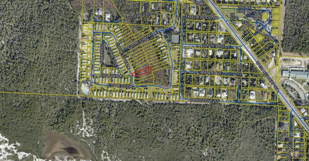 Image 2: Lot 100 Cypress Walk_PA Site Ariel View