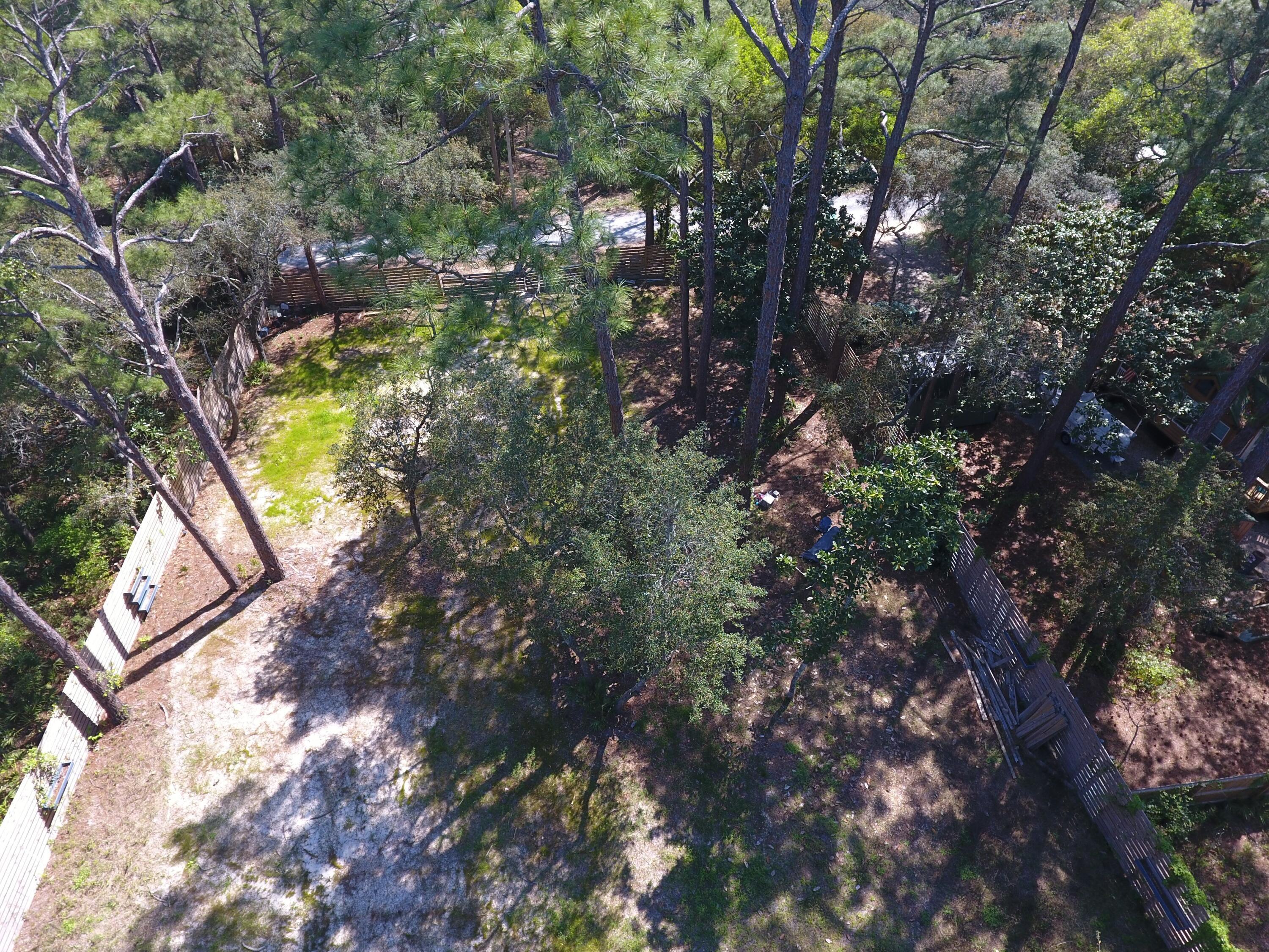 Image 4: DJI_0021