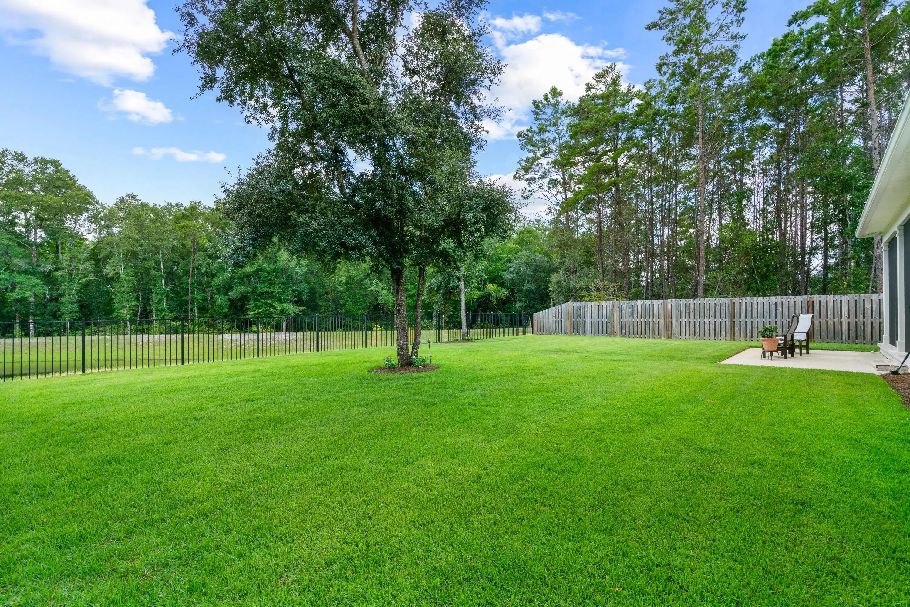 Image 1: Yard