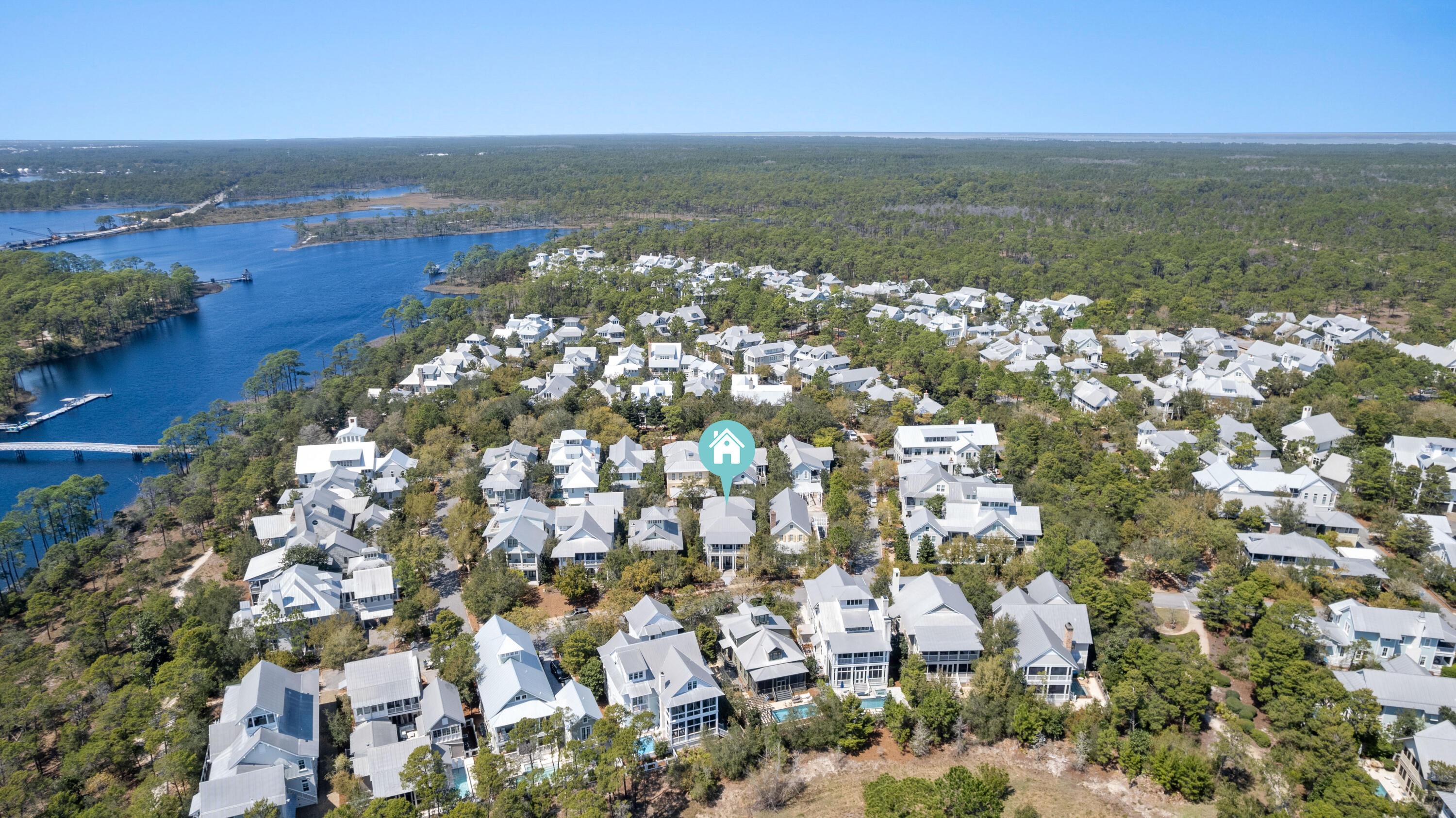 Image 1: 21 Mistflower-1