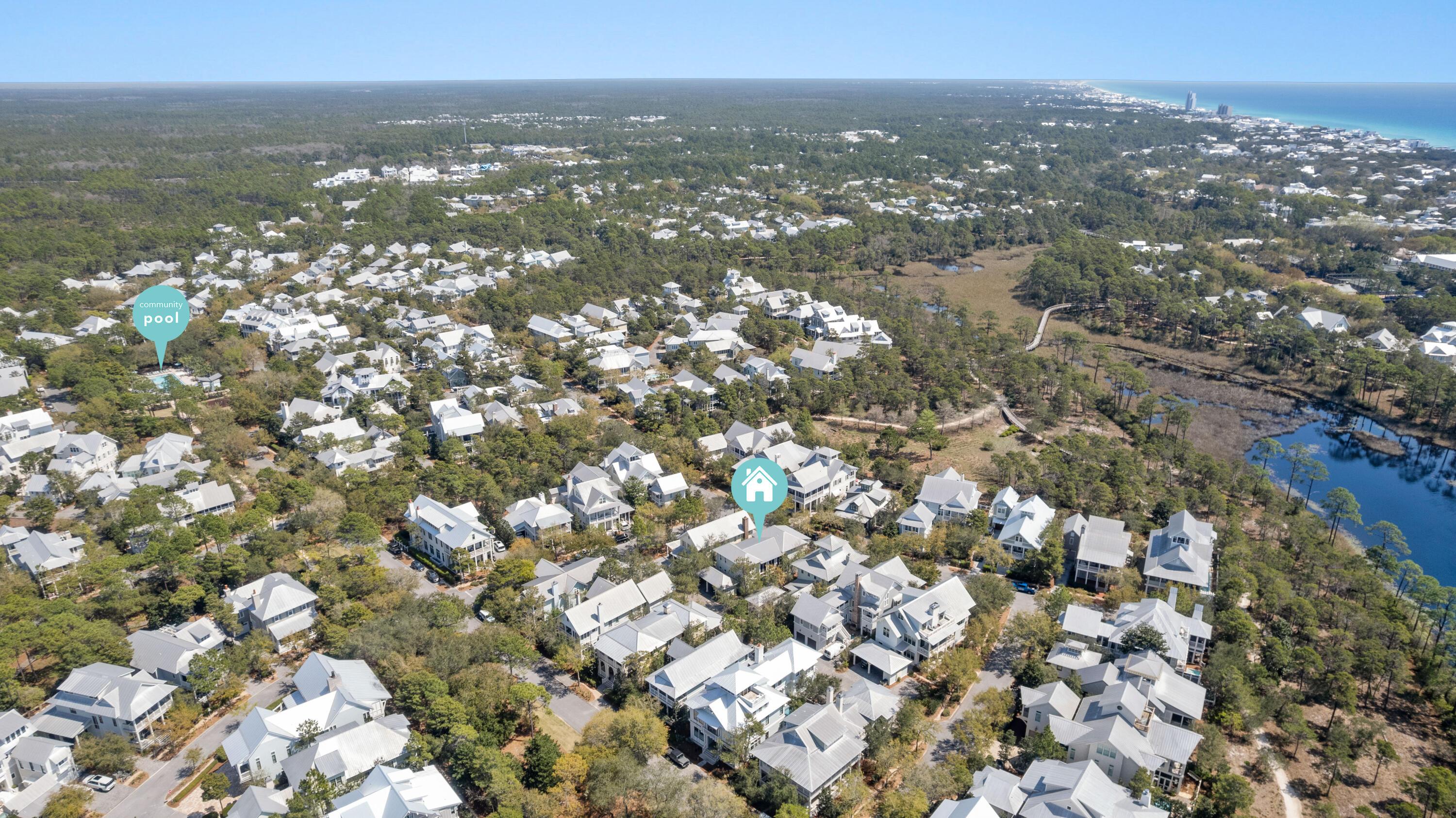 Image 2: 21 Mistflower-2