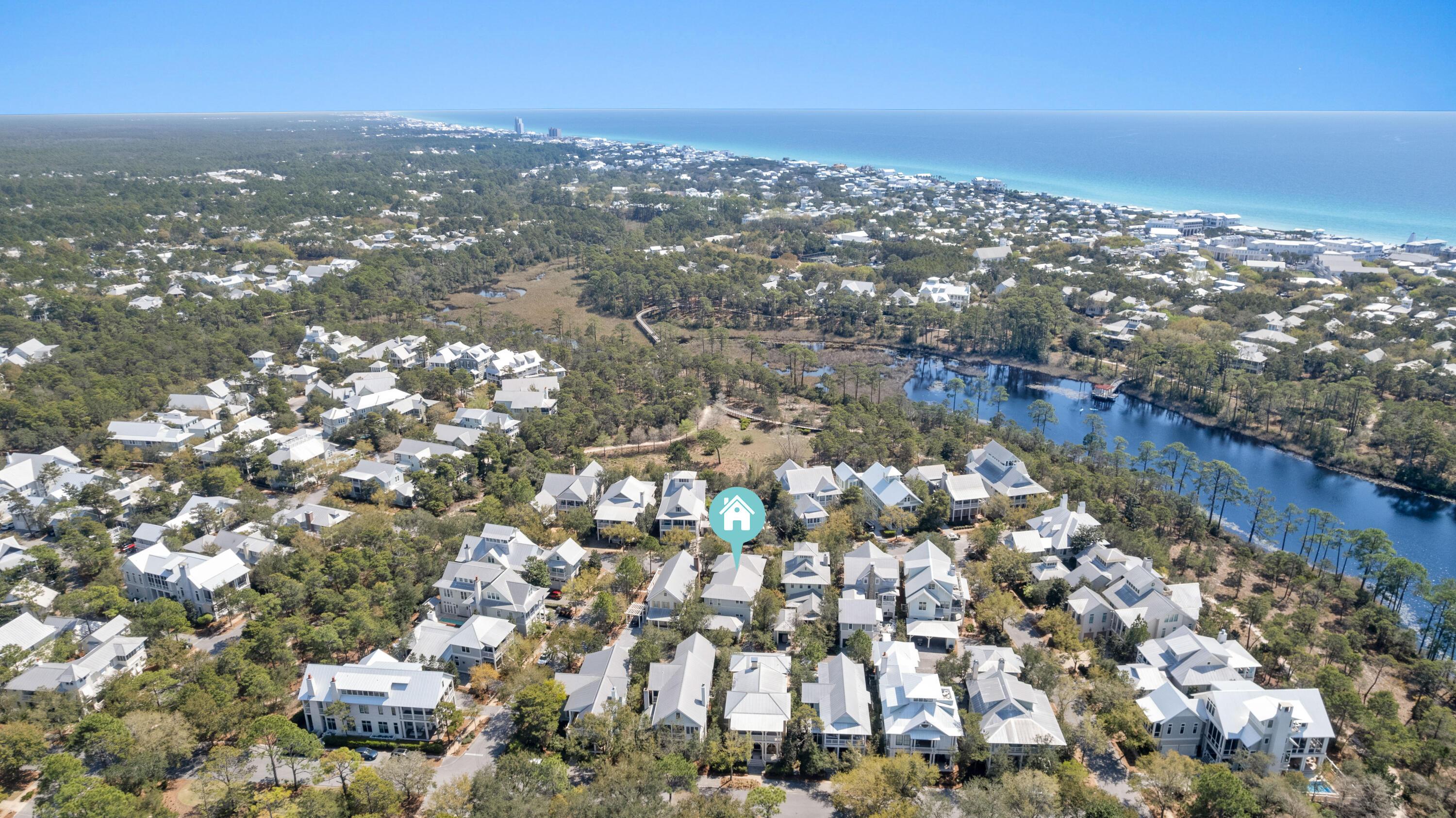 Image 3: 21 Mistflower-3