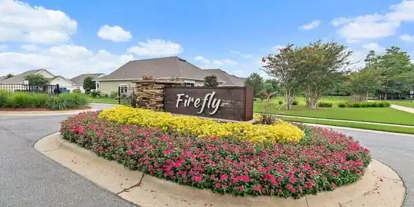 Image 2: Firefly