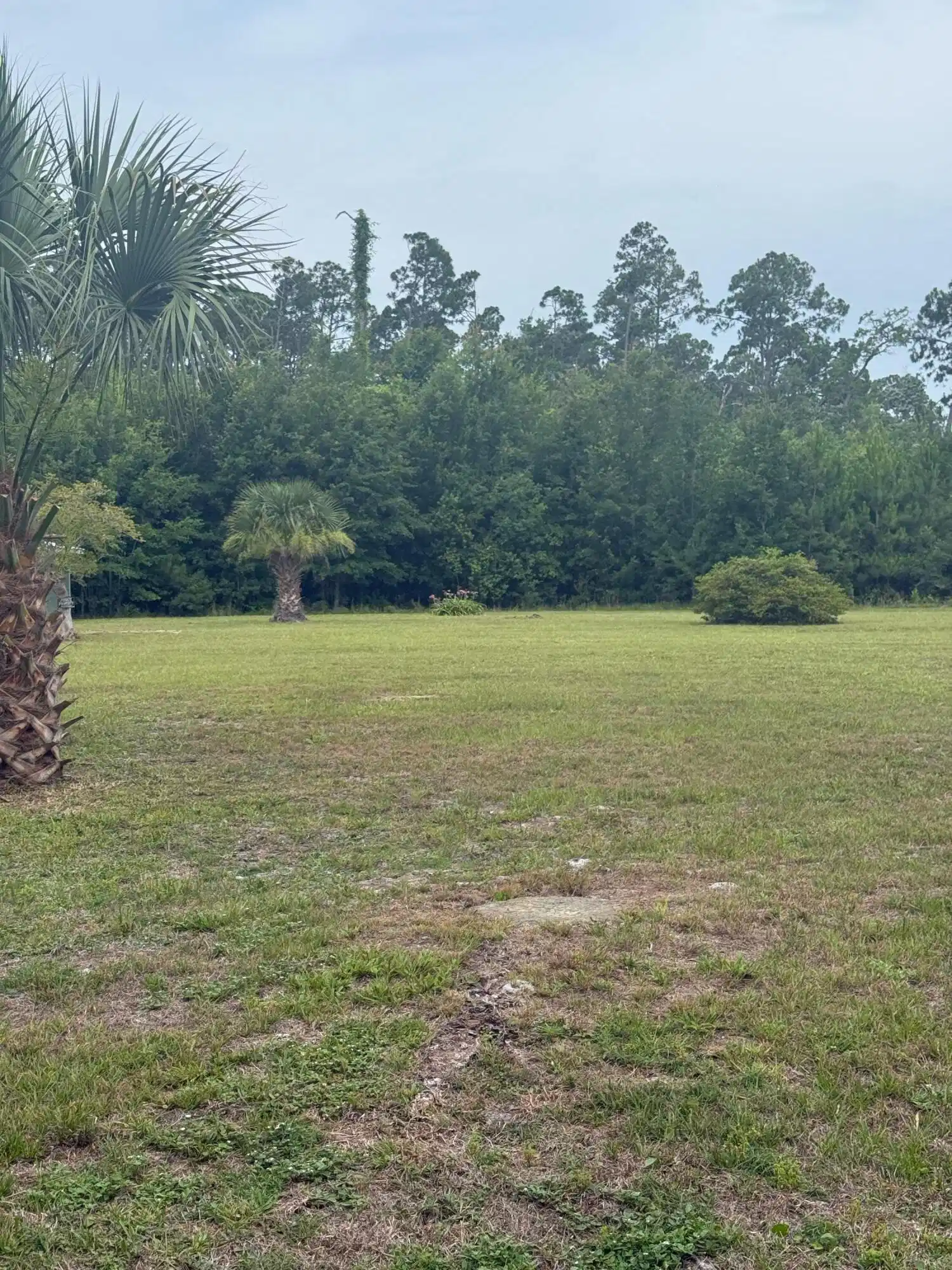 Image 1: Lot 2