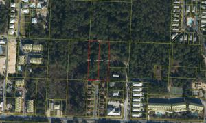 1.24 Acres Las Palmas Way