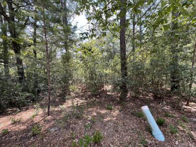 Lot 33 Grande Oaks on Caswell Branch Road