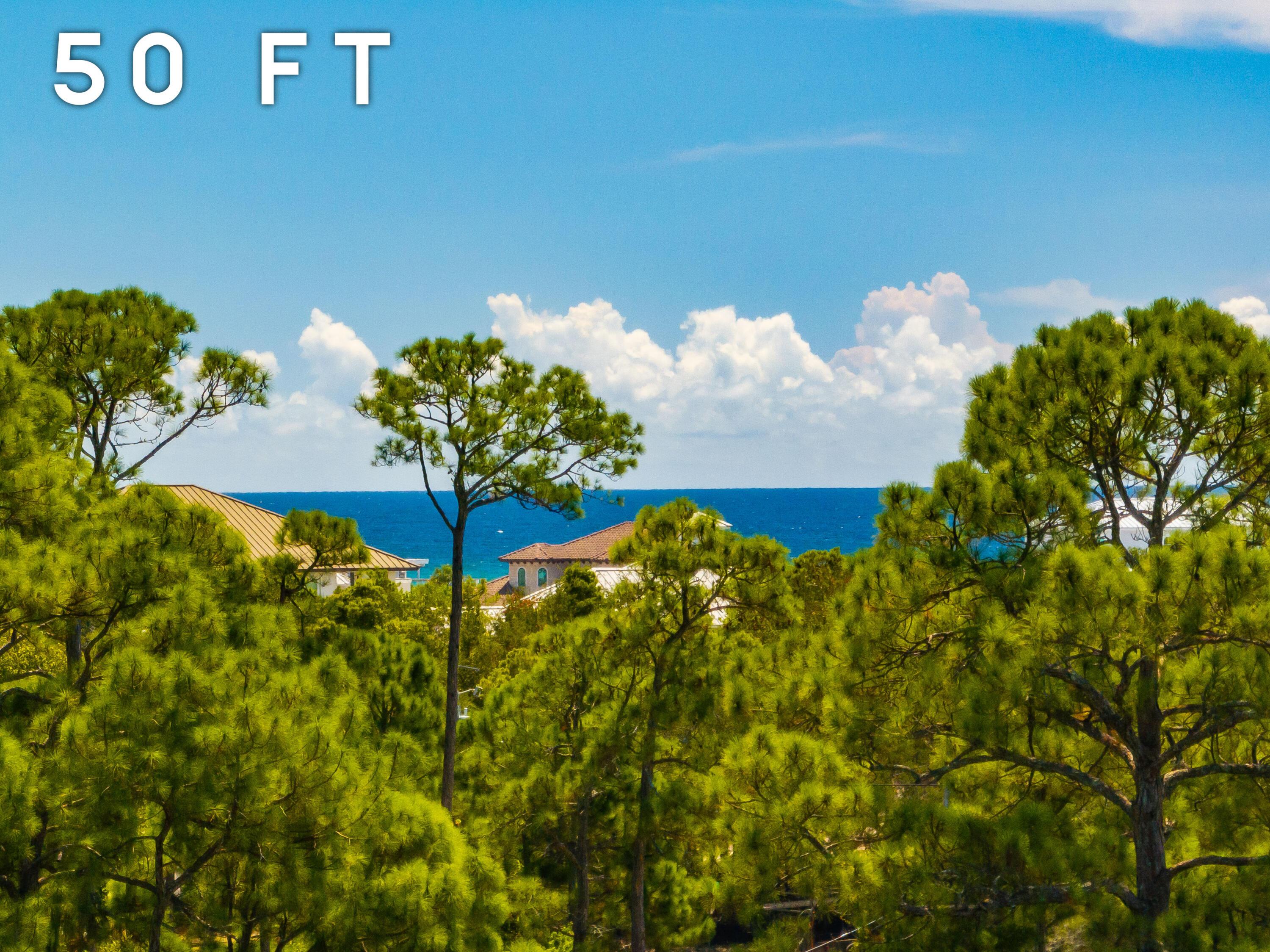 Image 4: Lot 8 50 FT Elevation